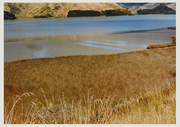 Felicitas Vogler, Paihia Bay, Neuseeland, 1991, Farbfotografie auf Kodakpapier, 35,7 x 50,5 cm, Kunstmuseum Bern, Legat Felicitas Vogler, St-Légier
 - 