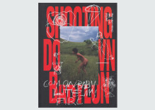 Shooting Down Babylon Tracey Rose